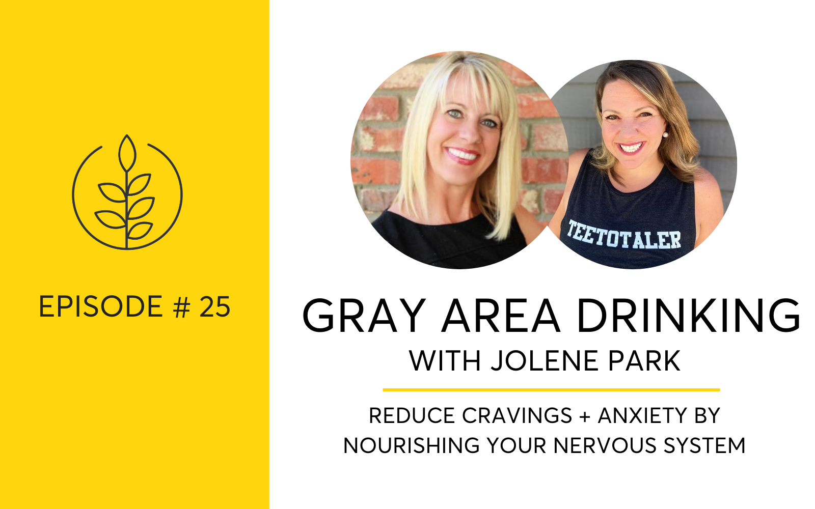Are You A Gray Area Drinker? With Jolene Park