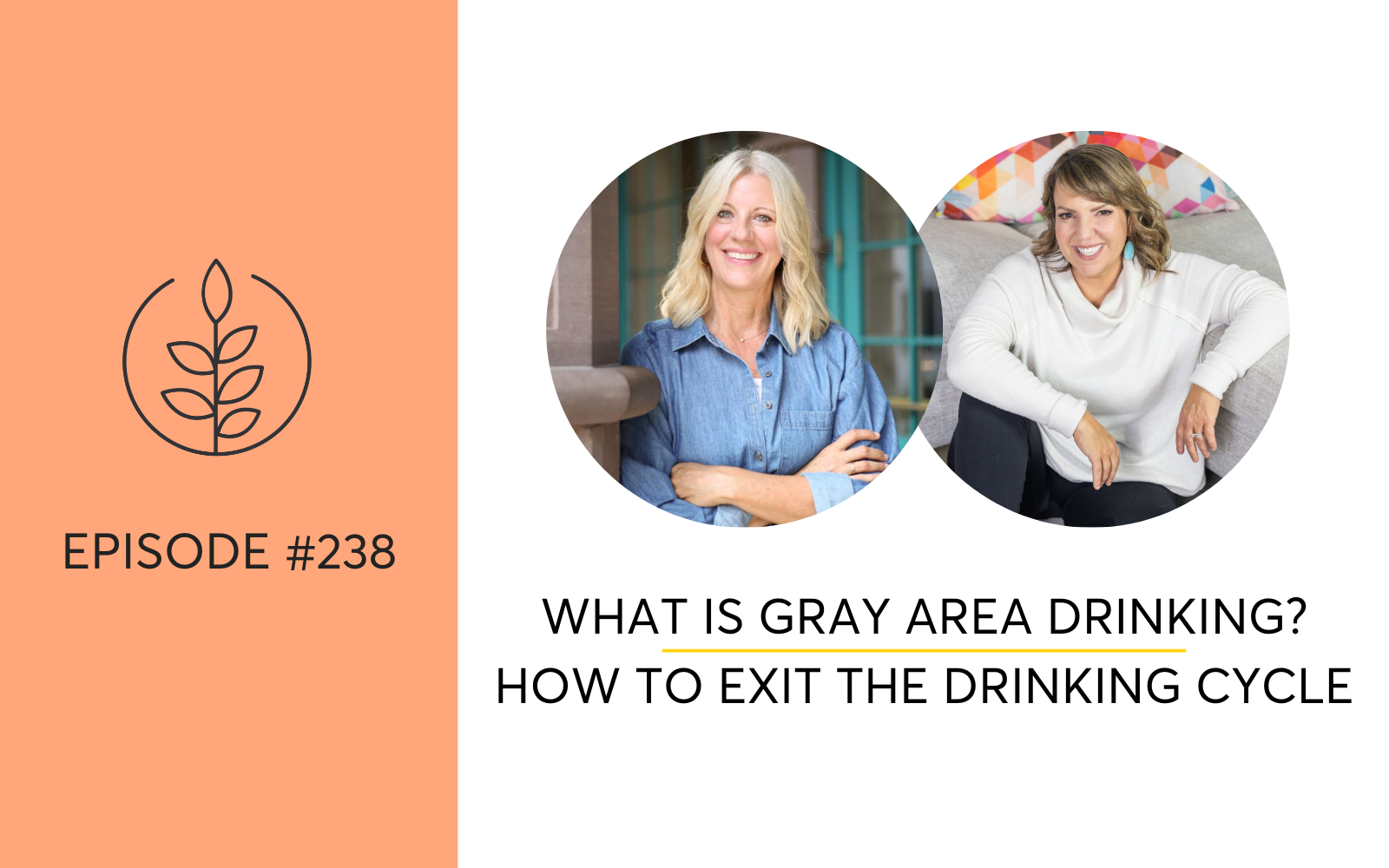 What Is Gray Area Drinking? How To Exit The Drinking Cycle