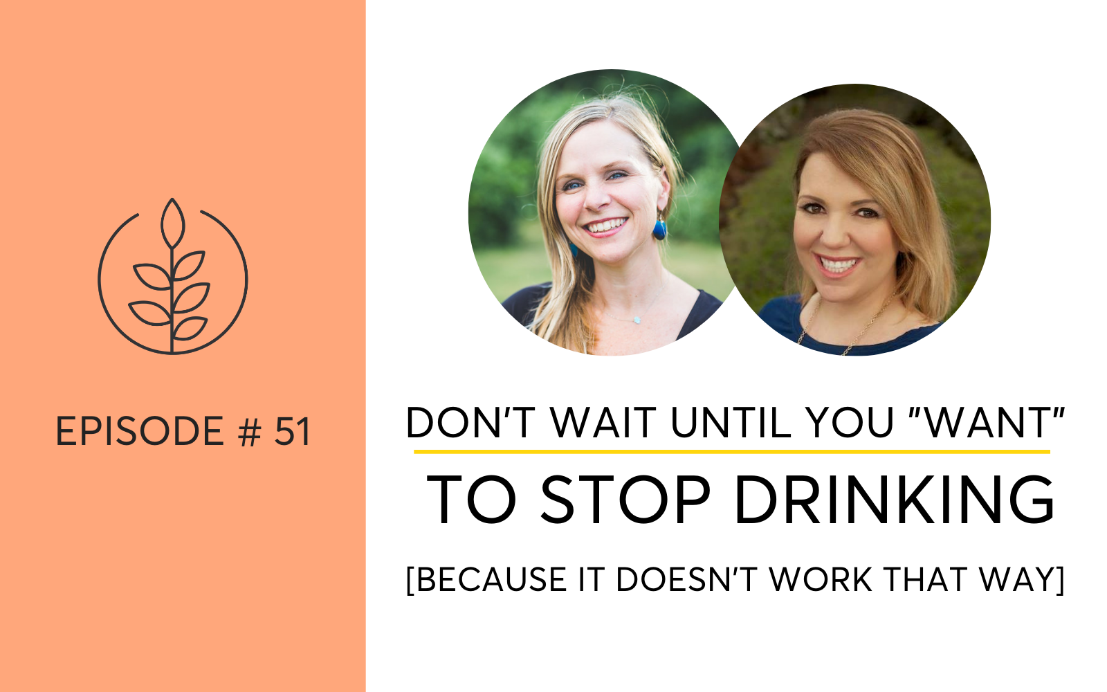 Don’t Wait Until You Want To Stop Drinking