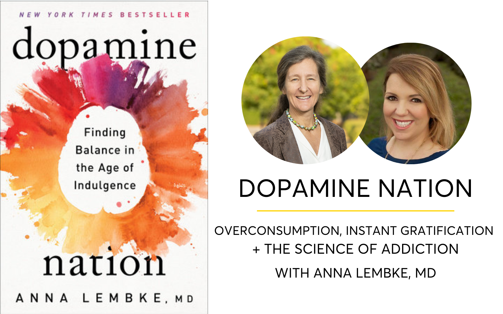 Dopamine Nation: Finding Balance in the Age of Indulgence