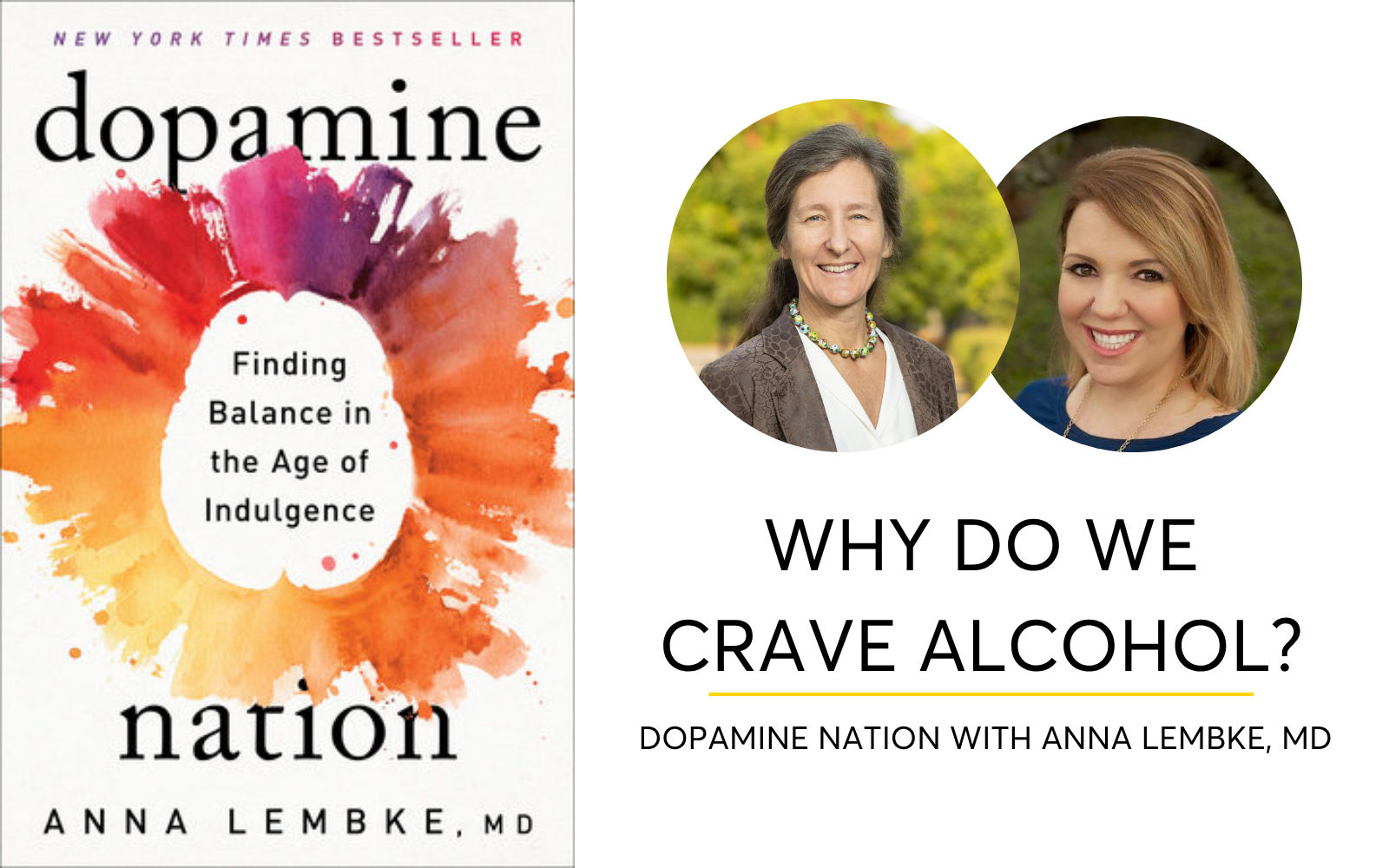 Why Do We Crave Alcohol? Dopamine Nation with Dr. Anna Lembke