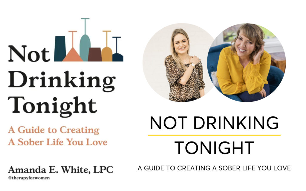 Not Drinking Tonight - A Guide To Creating A Sober Life You Love